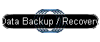 Data Backup / Recovery