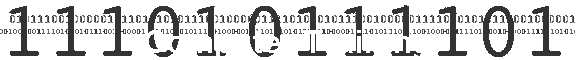 Computer Training